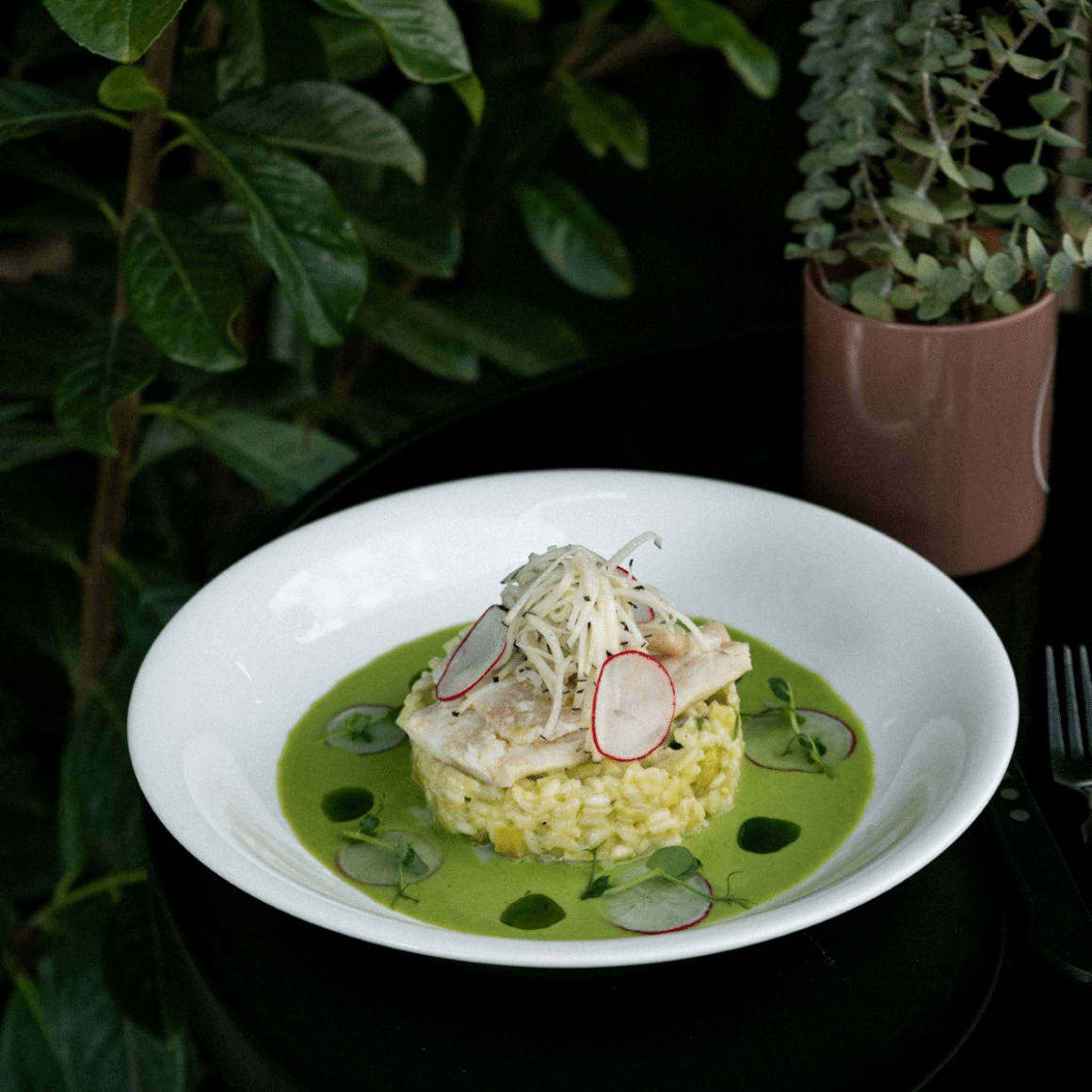 close up cu o farfurie cu mancare de la Hygge restaurant