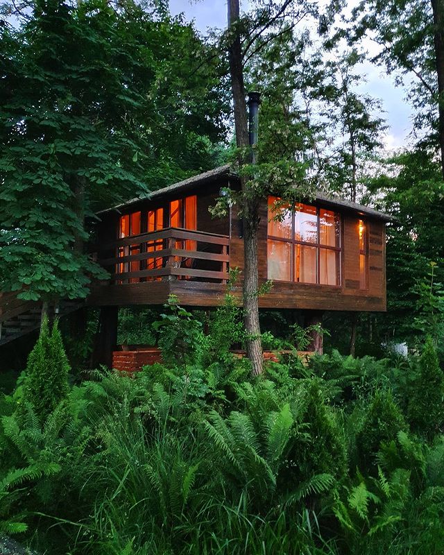 Căsuțe în copac, Porumbacu de sus