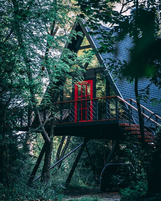 cabana a frame , printr copaci, la Porumbacu Treehouse