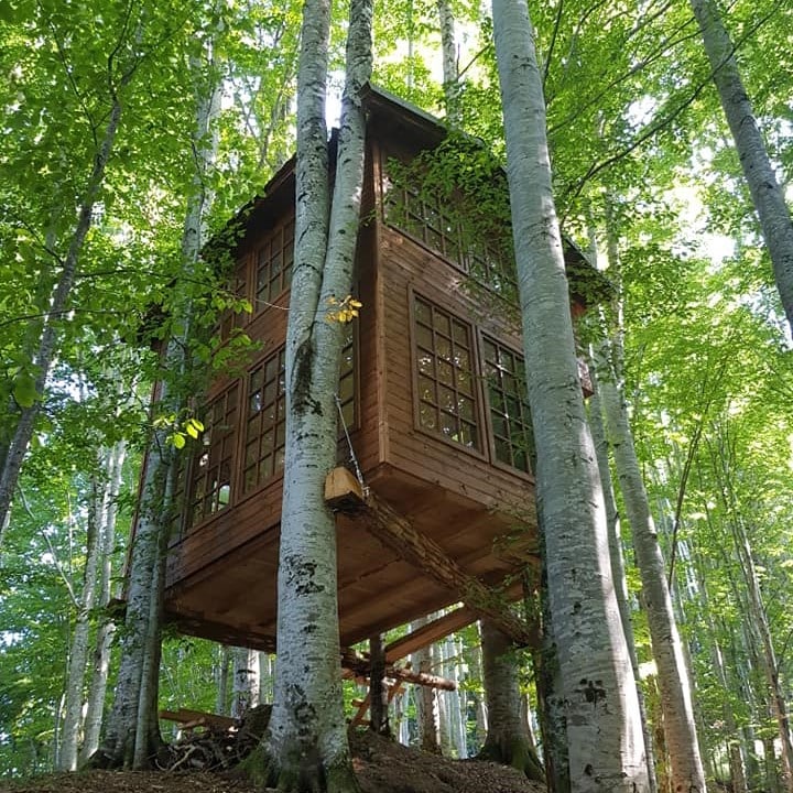 Căsută în copac la Transfagarasan Tree House Village