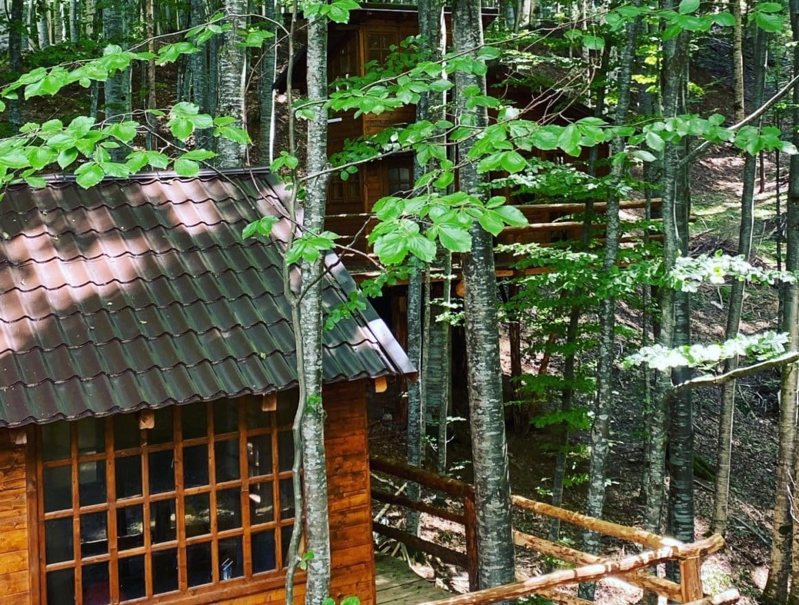 Căsuțe în copac la Transfagarasan Tree House Village