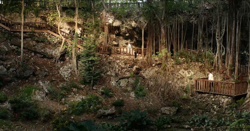 scara de lemn construita pe lateralul unui deal plin de evgetatie