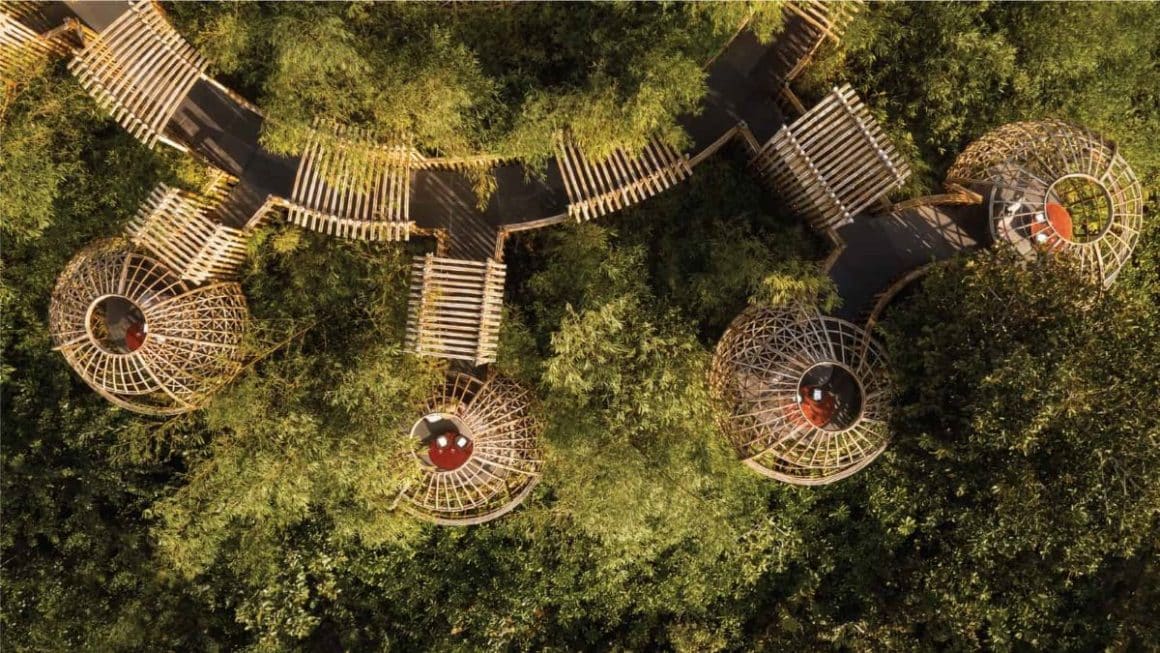 restaurant Terra din Maldive, unde iei cina intr-un cuib de bambus suspendat.