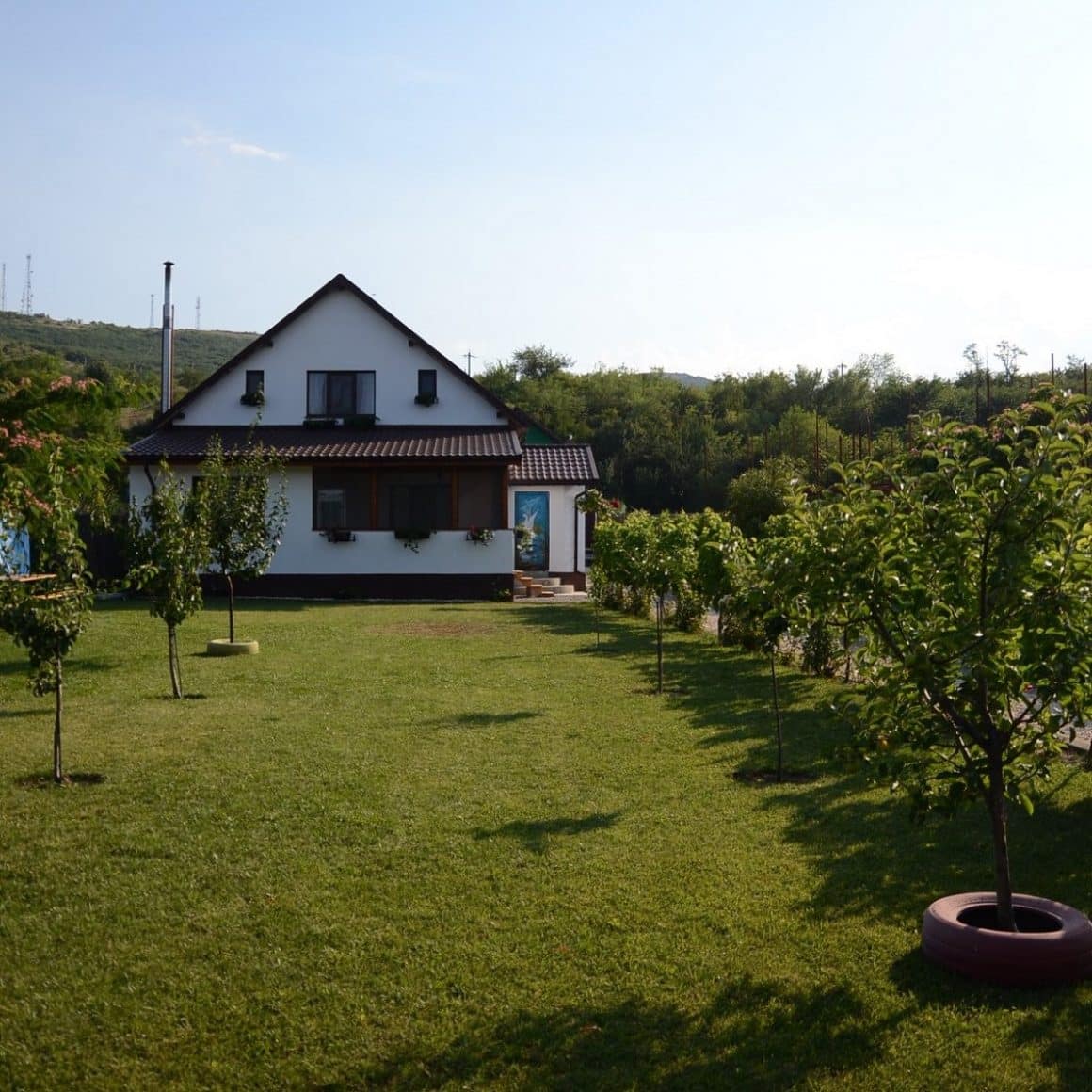 Casa Malul Dunării din Mahmudia, cu gazon in fata