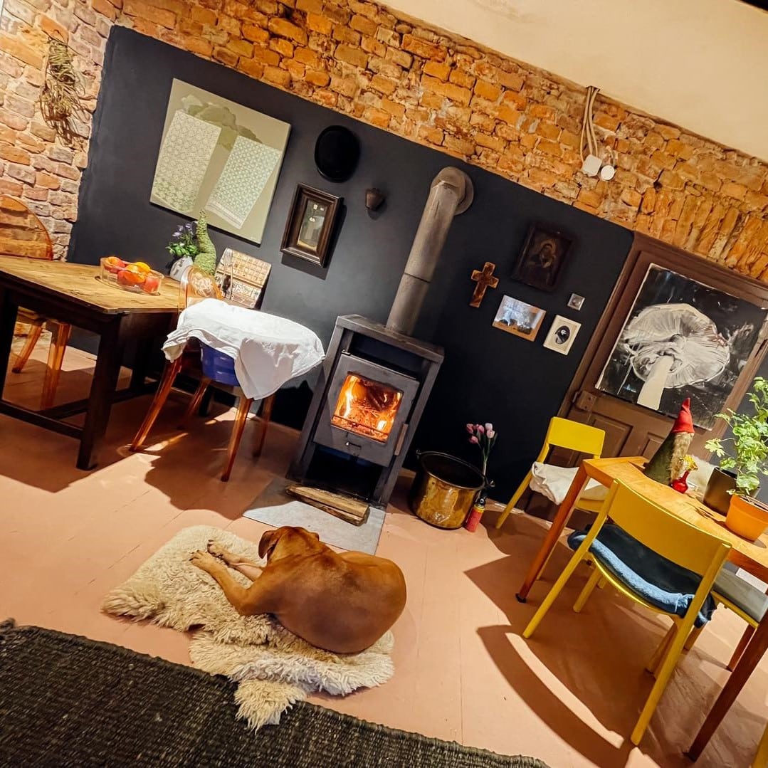 un caine doarme lenes in fata unui semineu in interiorul restaurantului Kibut din Garăna