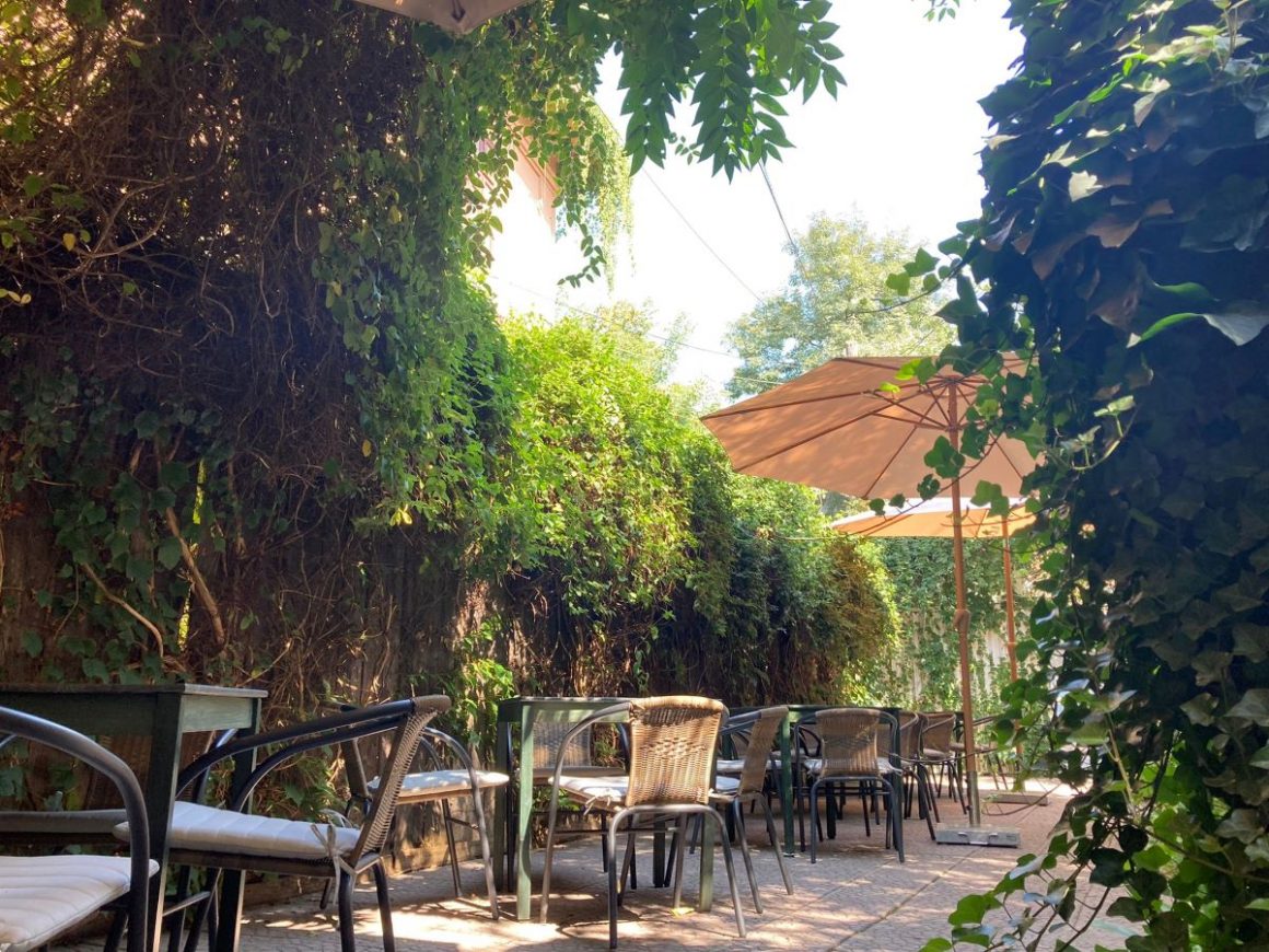 Grădini din Bucurețti: ceainăria Green tea cu mese si scaune din rachita, trandafiri si multa verdeata