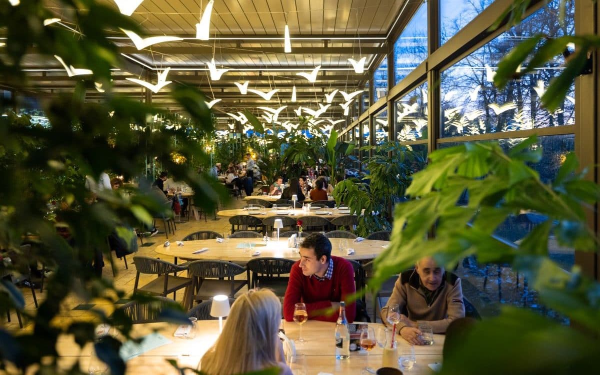 doi barbati și o femeie sunt la masa restaurantului pescarus din herastrau, inconjurati de plante decorative , iar deaspura lor sunt mai multe lămpi in forma uni pescarus. Terase din Herăstrău