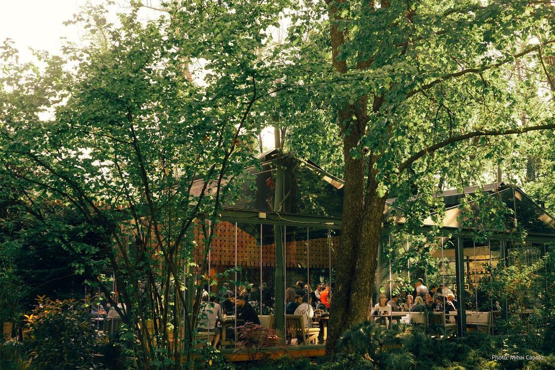 Hare Garden, terasă din Herăstrău inconjurata de copaci