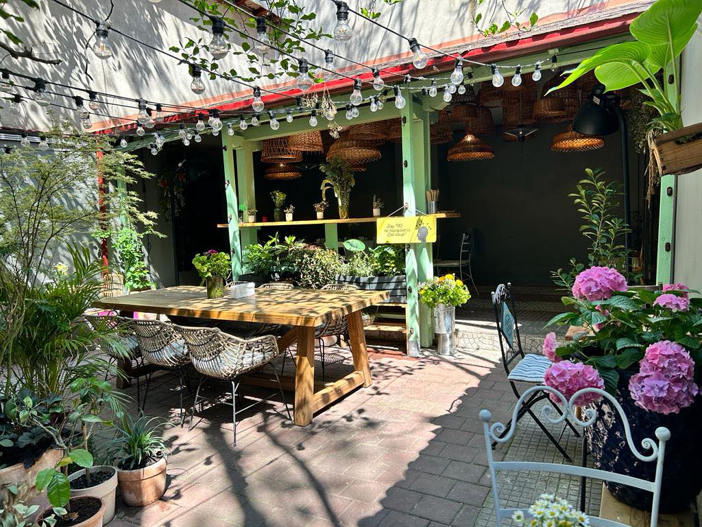 terasa gradinii bacania veche cu multe flori si ghirlande luminoase. Grădini din București