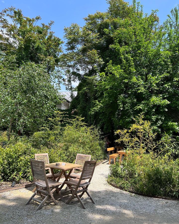 masa de lemn cu 4 scaune inconjurata d everdeata la Sera Eden. Grădini din București