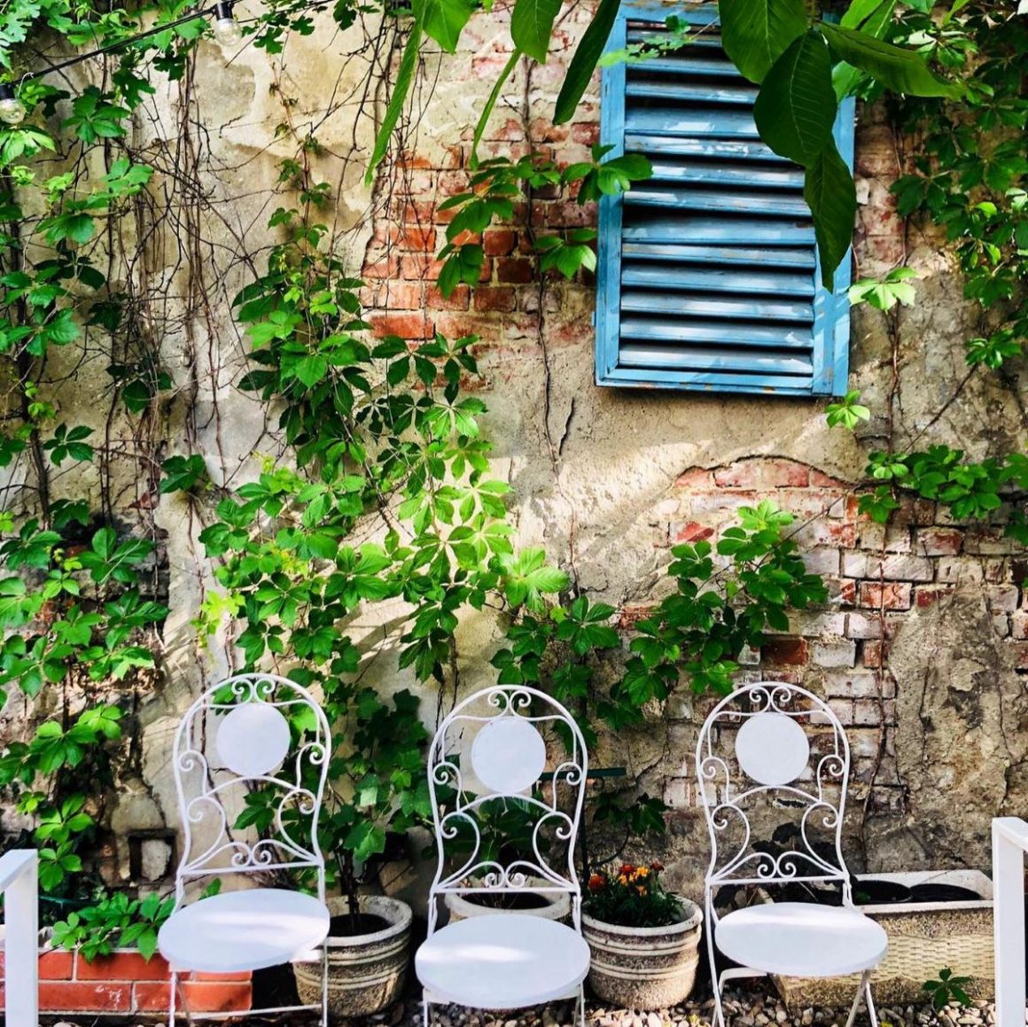 3 scaune din fier forjat sprijinite de un zid cu iedera si un oblon albastru la Arome Bucuresti