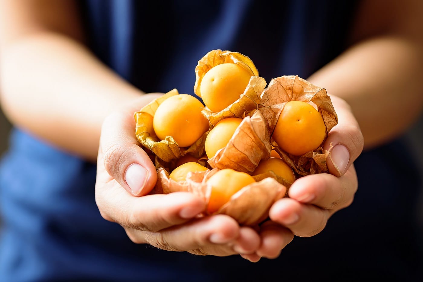 13 fructe exotice super interesante!