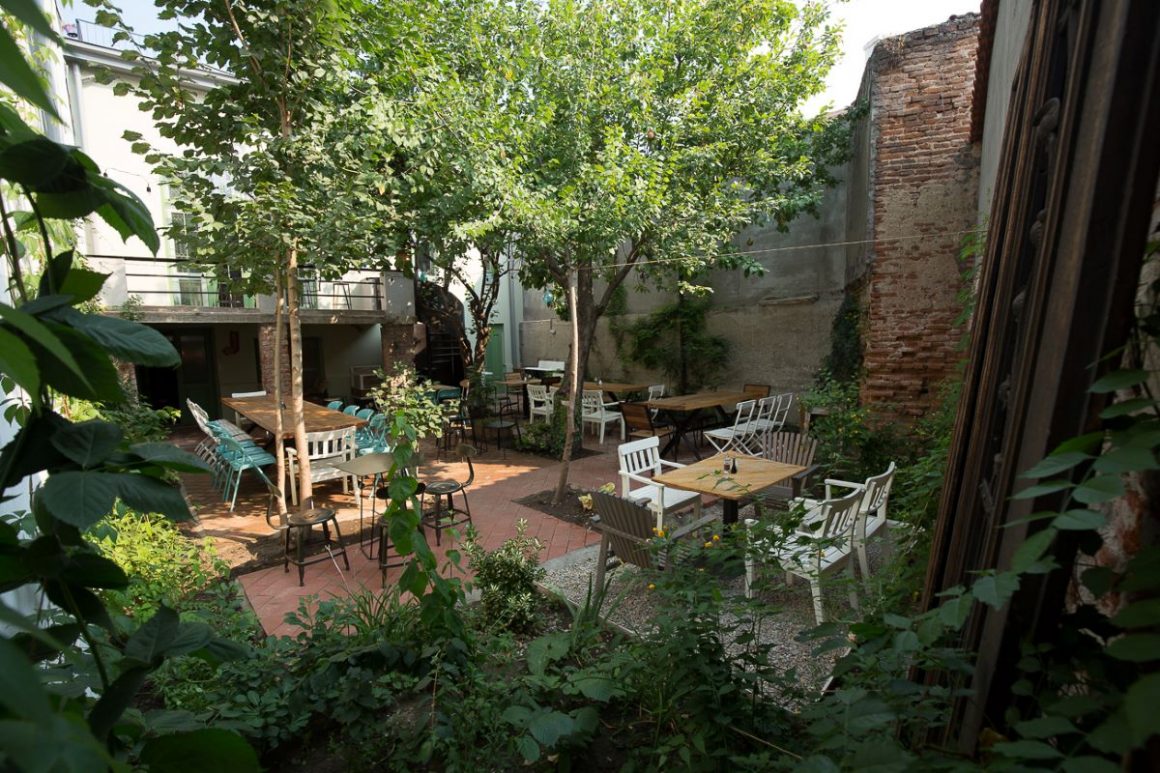 Terasa de la Simbio, plina de verdeata. Grădini din București