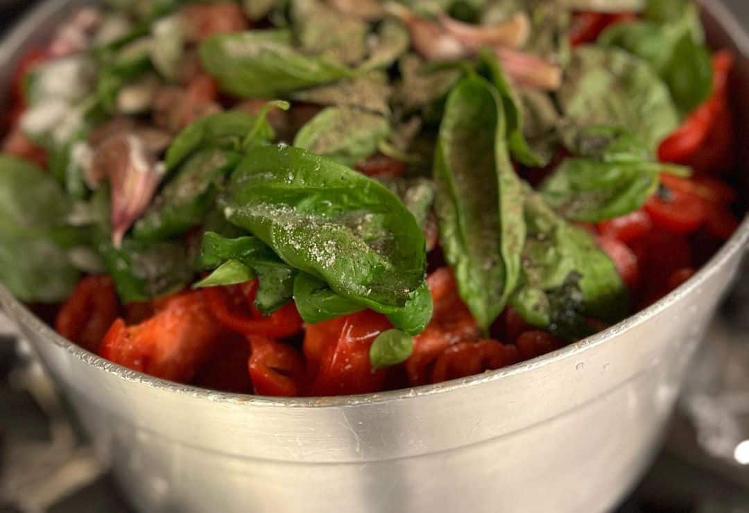 un bol alb cu salatacu rosii, frunze de busuioc și alte legume.