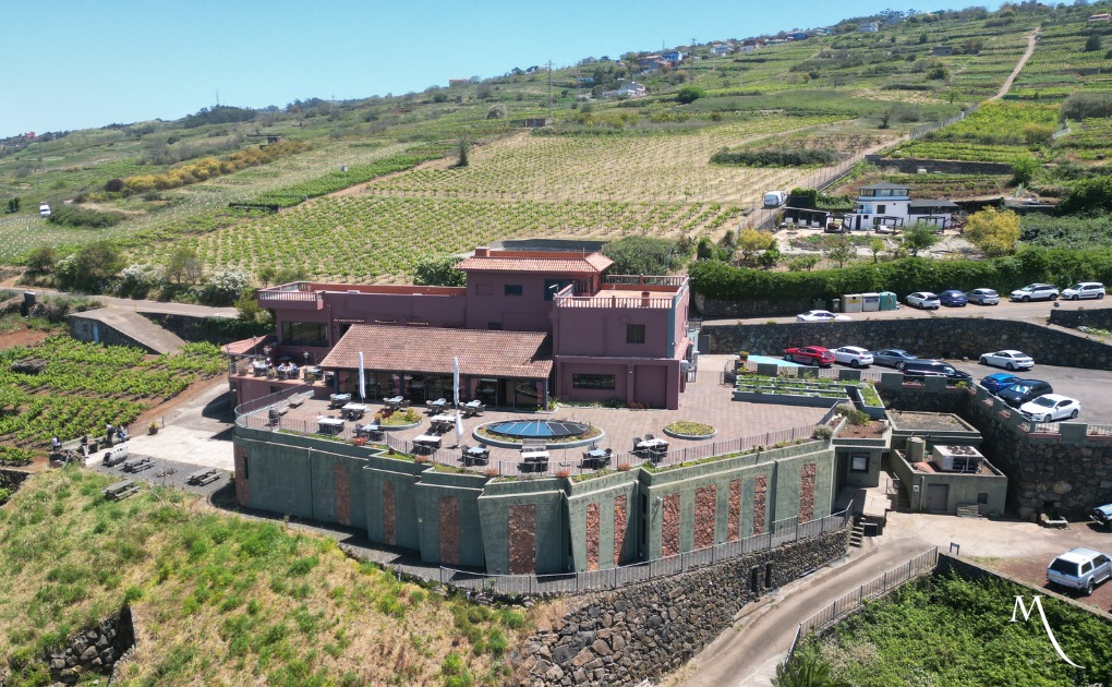 fotografie aeriana cu restaurantul și crama bodegas moje din el sauzal, iar in fundal se vede un deal pe care este plantata vita de vie