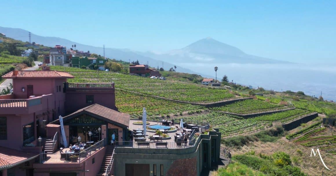 fotografie aeriana cu restaurantul și crama bodegas moje din el sauzal, iar in fundal se vede un deal pe care este plantata vita de vie