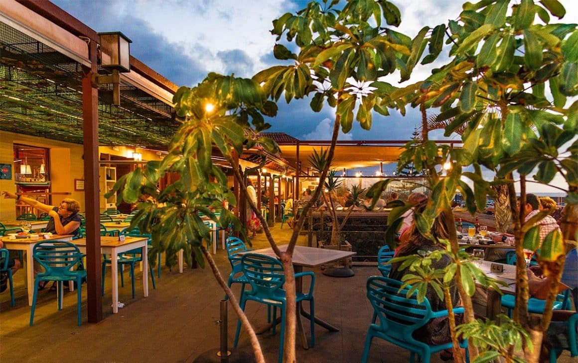 terasa restaurantului Cofradía de Pescadores de Puerto de la Cruz, cu scaune albastre și mese de lemn fotografiata printre crengile uui arbust ornamental