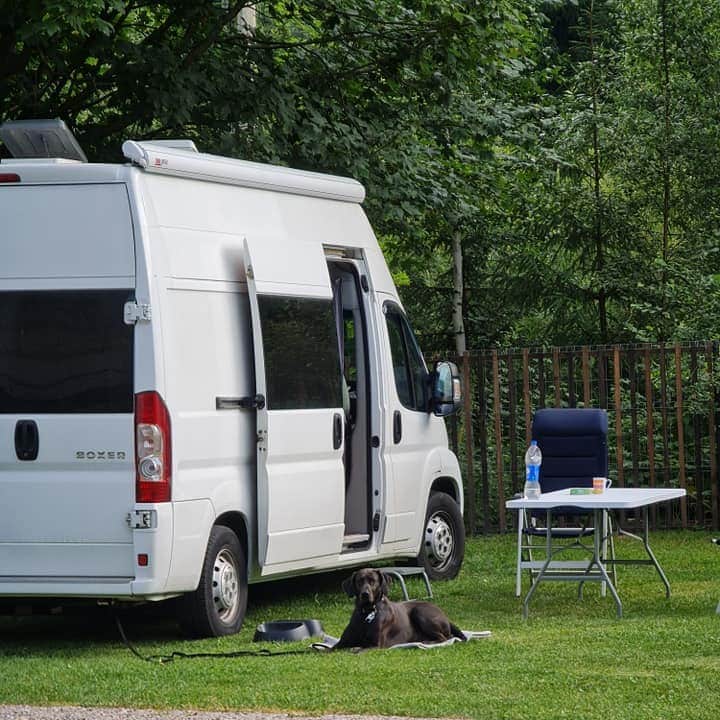 caine sta langa o rulota la Camping De Vuurplaats