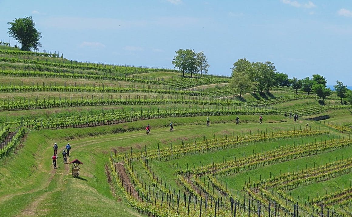 Turul cramelor pe bicicletă. Experiențe gastronomice inedite