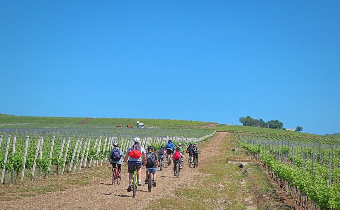 Turul cramelor pe bicicletă.