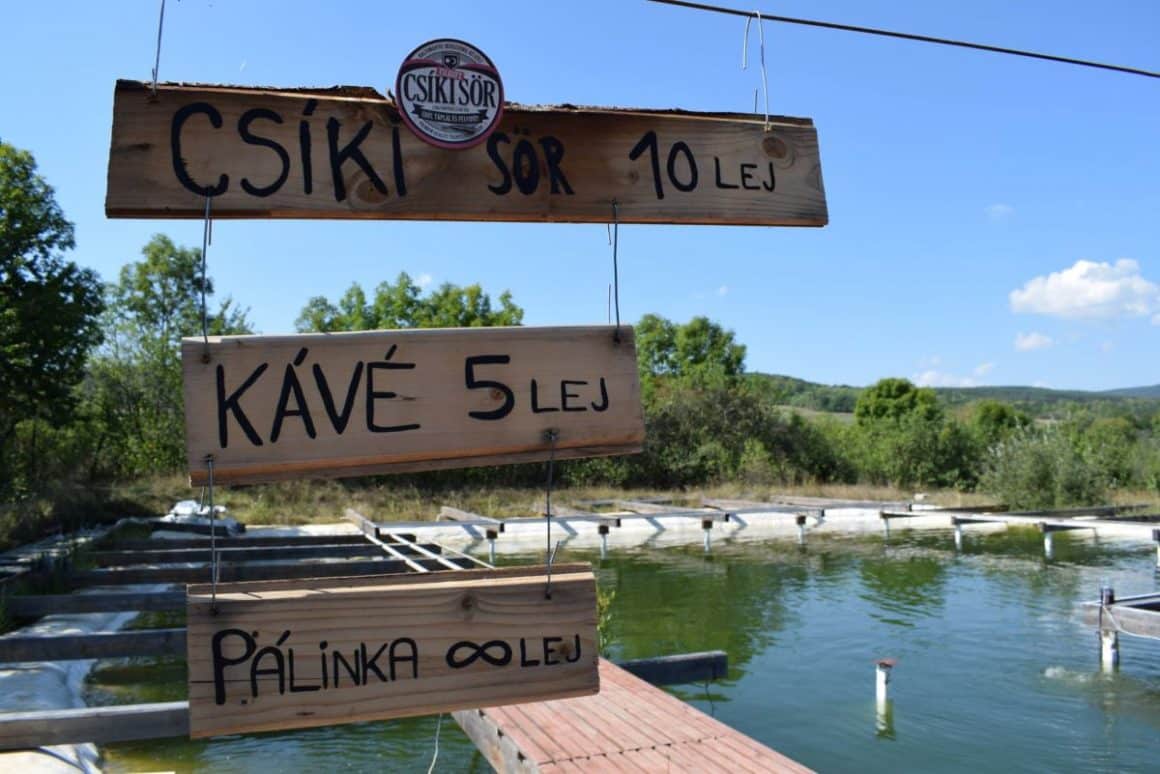 meniul unui local car produce si serveste bere sub apa celor care caută o experienta inedita