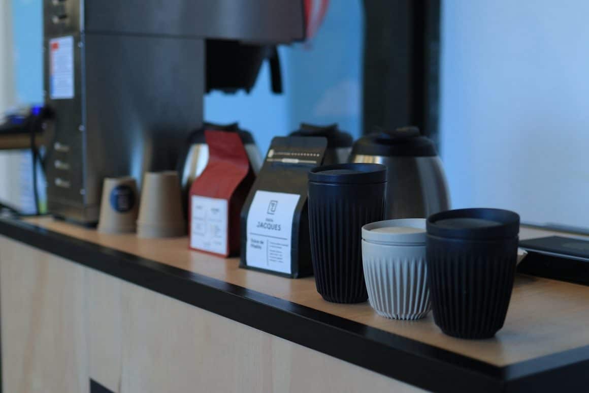 mai multe cani teroizolante alaturi d epungi de cafea