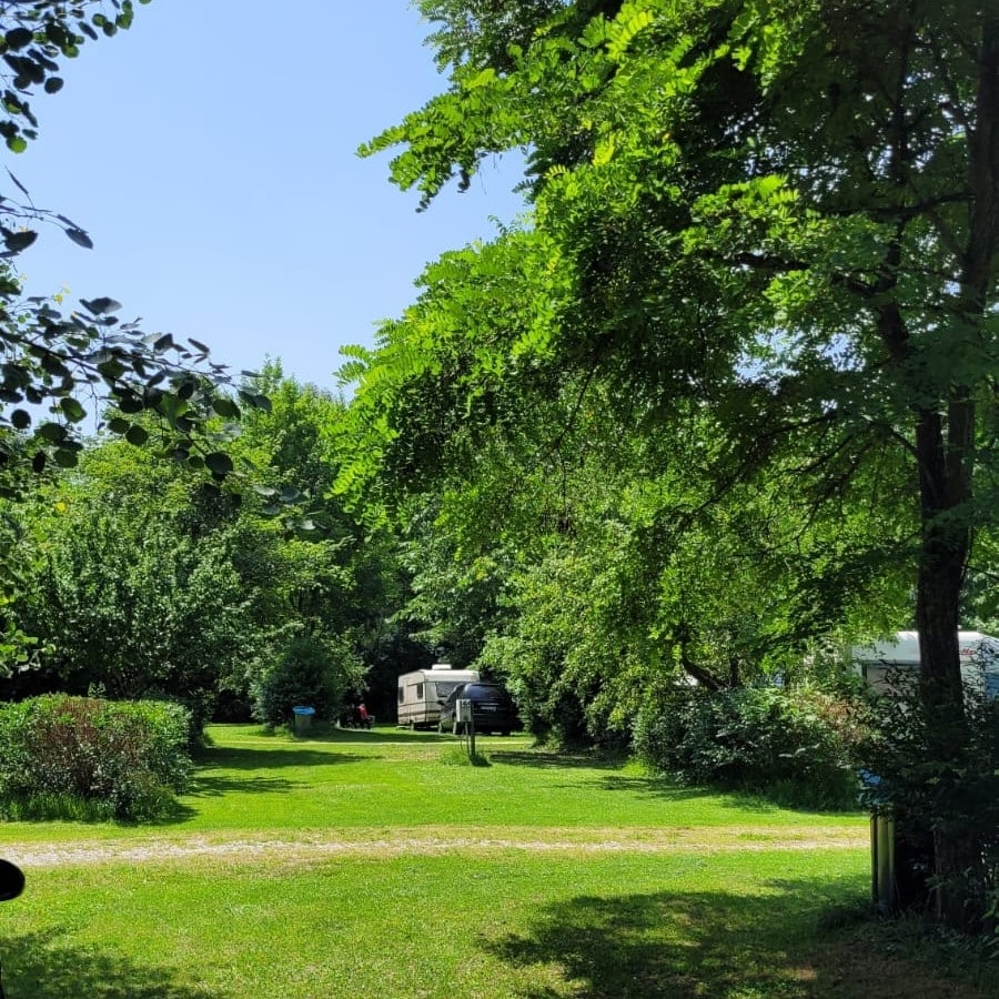 o autorulotă este parcata intr-un peisaj montan, cu copaci și o poieniță.la vampire camping românia