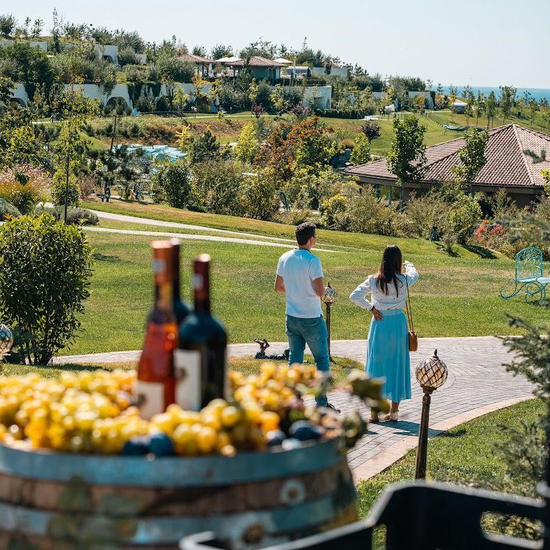 prim plan cu un butoi cu struguri blurat, iar in fundal oameni care se plimba pe domeniul de la casa Timis