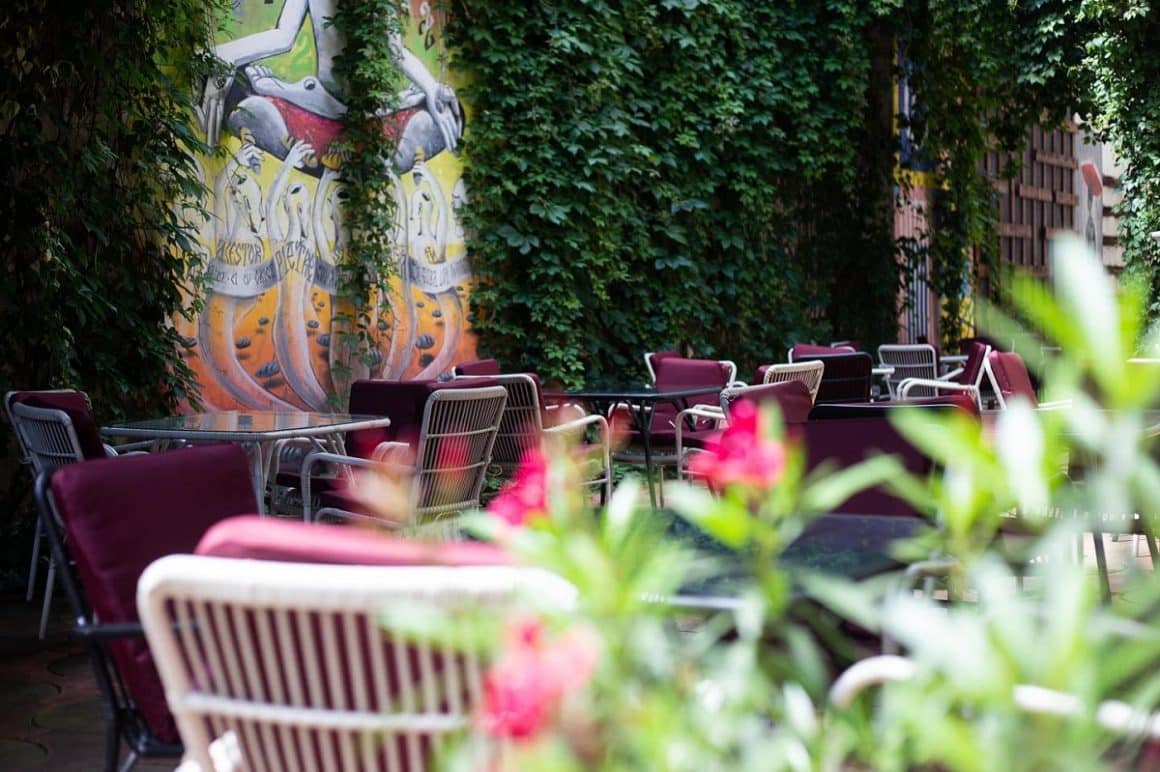 Gradina plina de verdeata de la Lente Lupu, cu un mural frumos colorat, cafenele moderne unde poți lucra