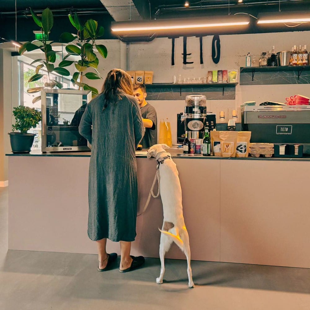 femeie alaturi de cainele sau, isi comanda cafea de la Teto București