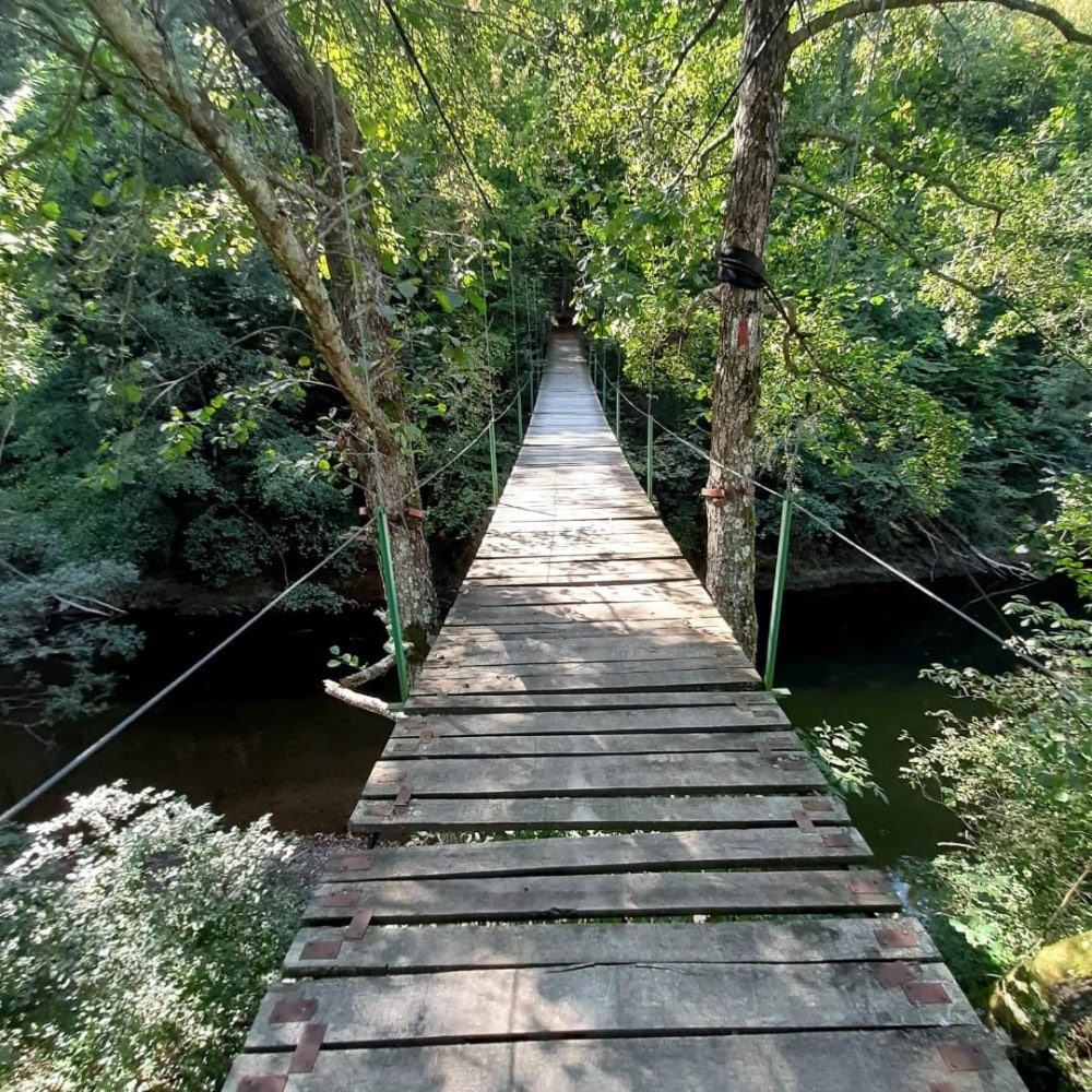 pot peste râul Nera, printre copaci.