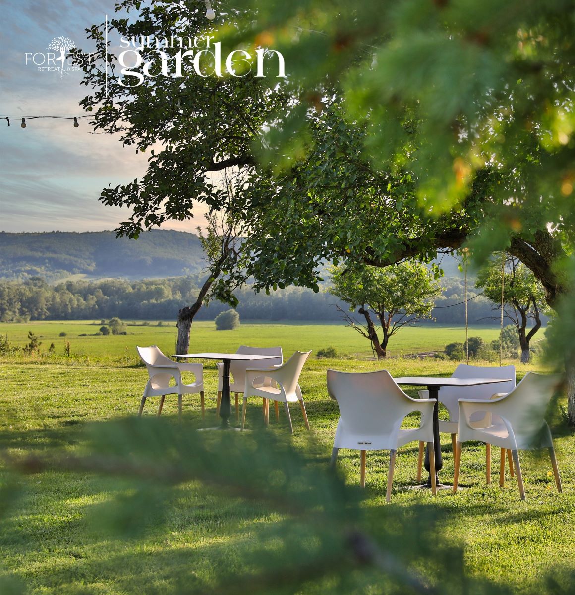 două mese sunt asezate pe peluza cu gazon la Forest Retreat