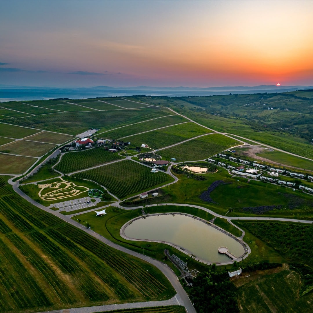 Domeniul de la Casa Timiș. Fotografie de ansamblu, la asfințit. Crame cu cazare din România