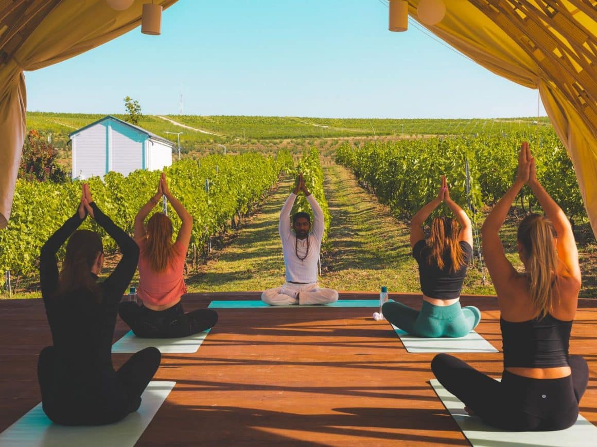 mai multe persoane fac yoga intr-un cort asezat in mijlocul unei podgorii