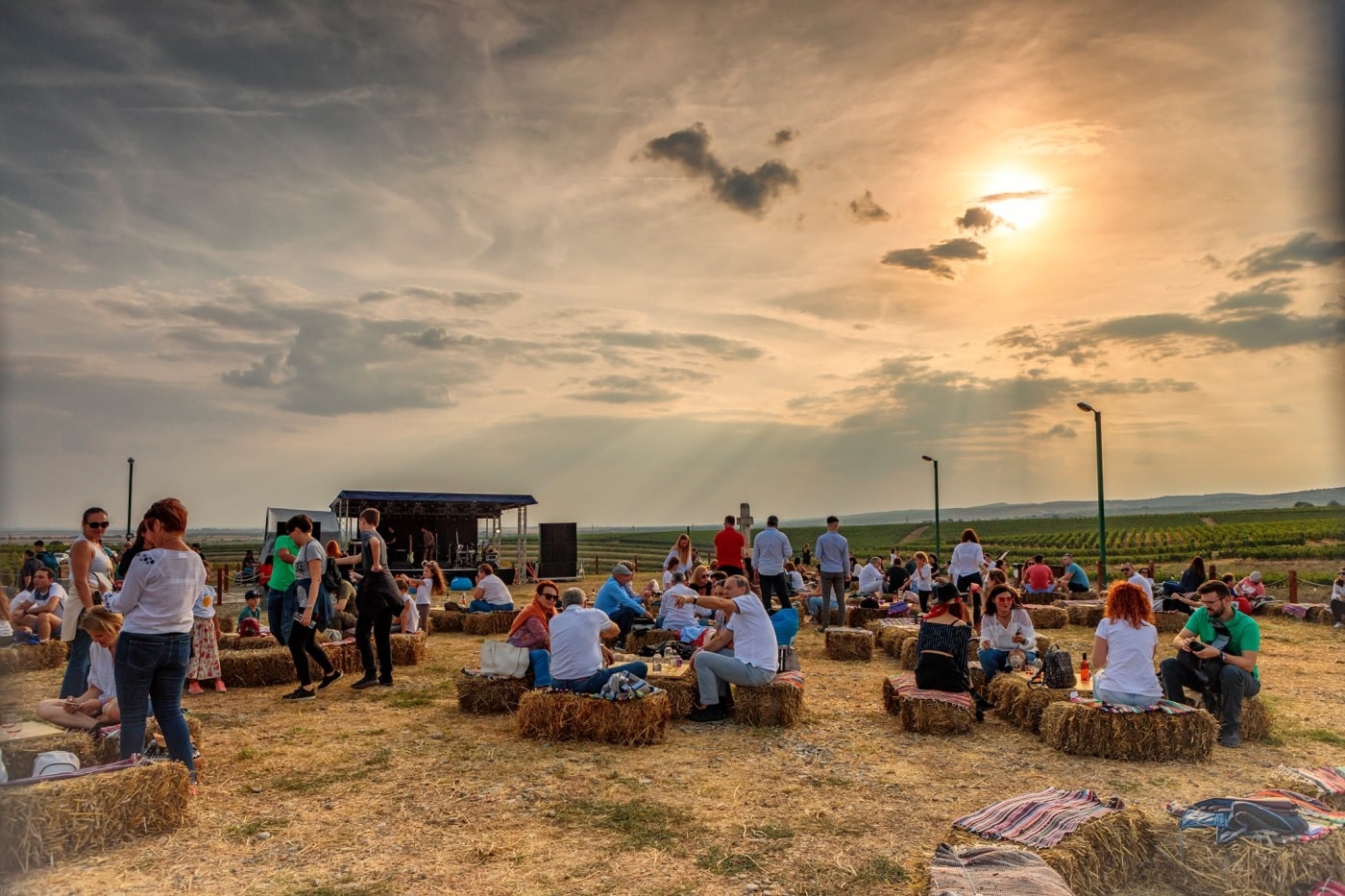 Cele mai cool crame de pe Drumul Vinului, care organizează degustări