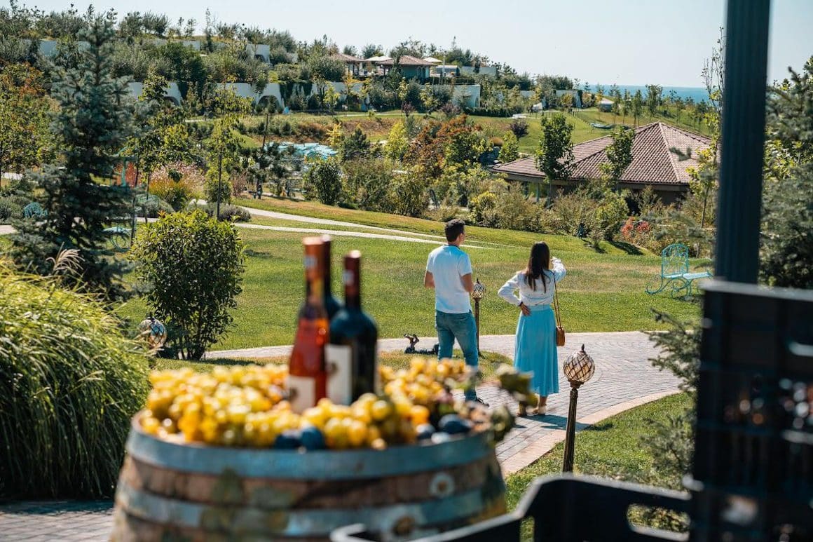oameni s eplimba pe domeniul de la Casa Timis