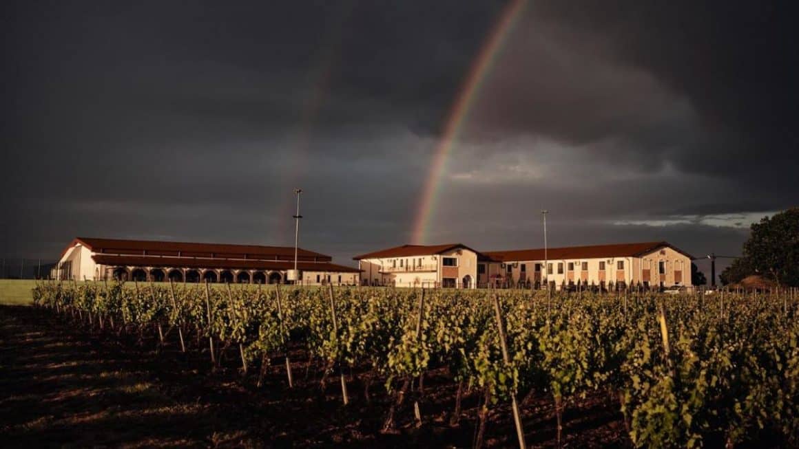 Vila si podgoria de la podgoria de la Domeniile Panciu. Crame cu cazare din România