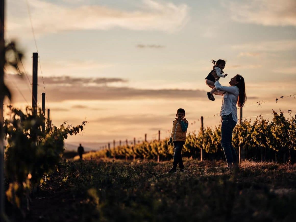 o mama se joaca cu cei doi copii ai săi, la apus, la podgoria de la Domeniile Panciu. Crame cu cazare din România