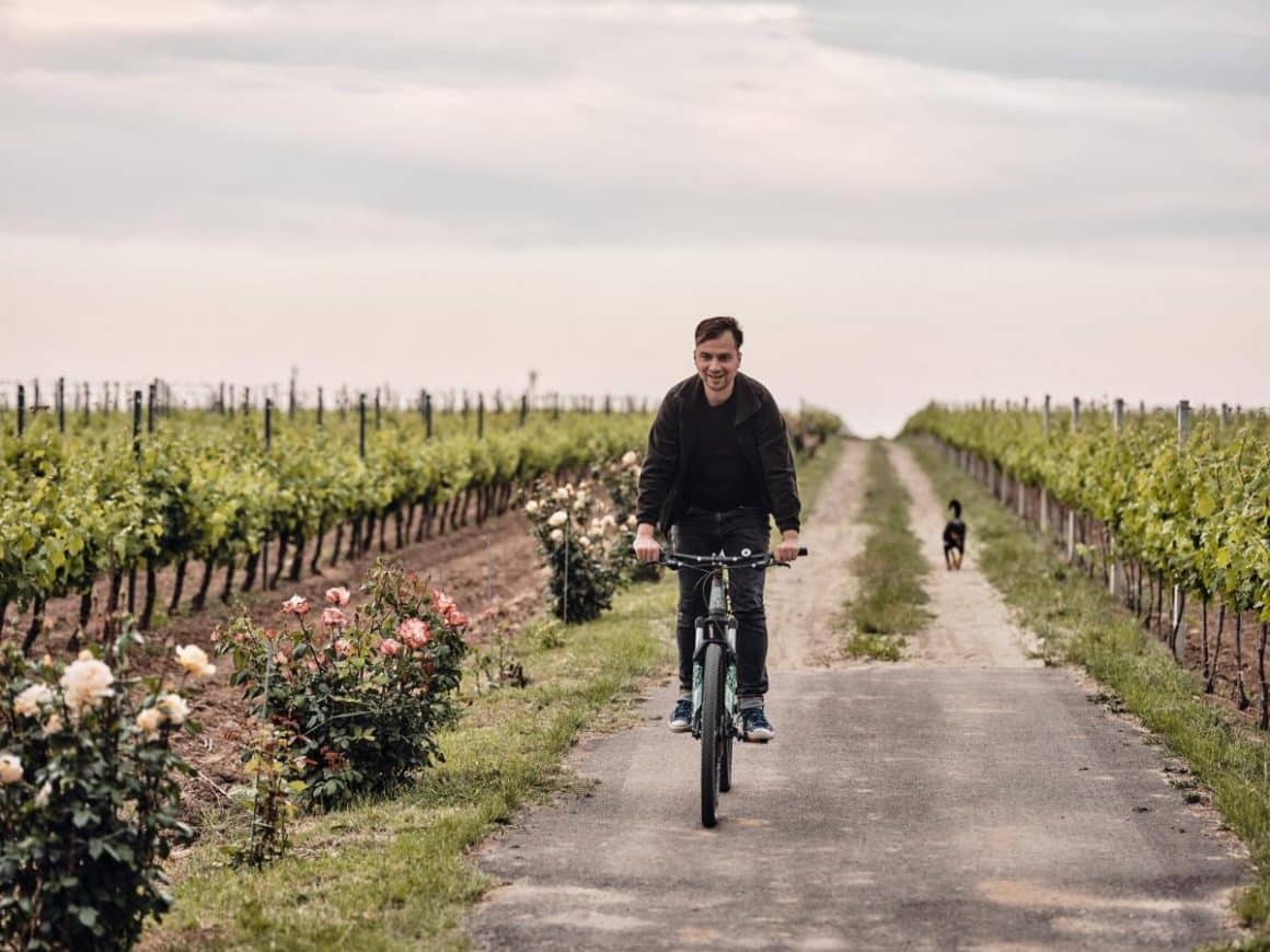 un barbat se plimba cu bicicleta la la podgoria de la Domeniile Panciu.
