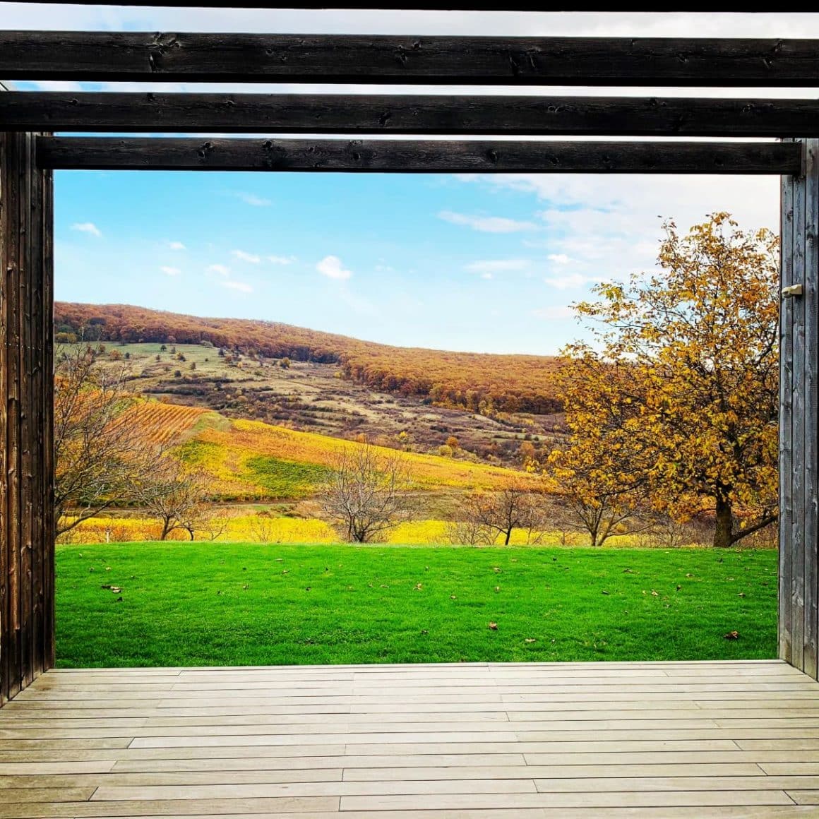 vila Liliac Lodge. Crame cu cazare din România