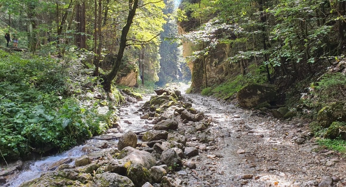 Trasee de munte prin padure catre Canionul 7 Scări