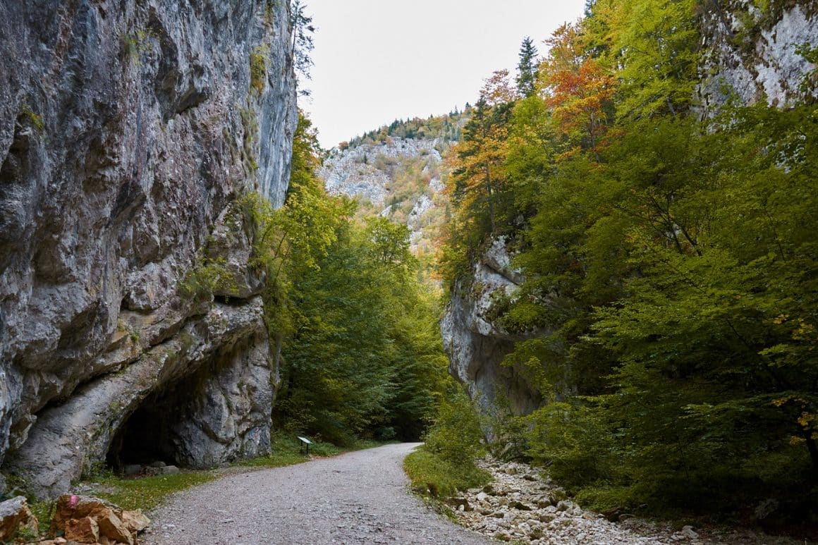 Prăpastiile Zărneștiului, din Munții Piatra Craiului. Trasee de munte