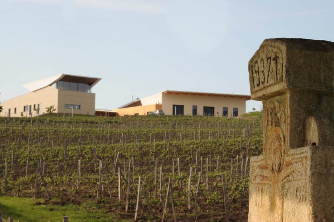 Podgoria de la Crama LacertA