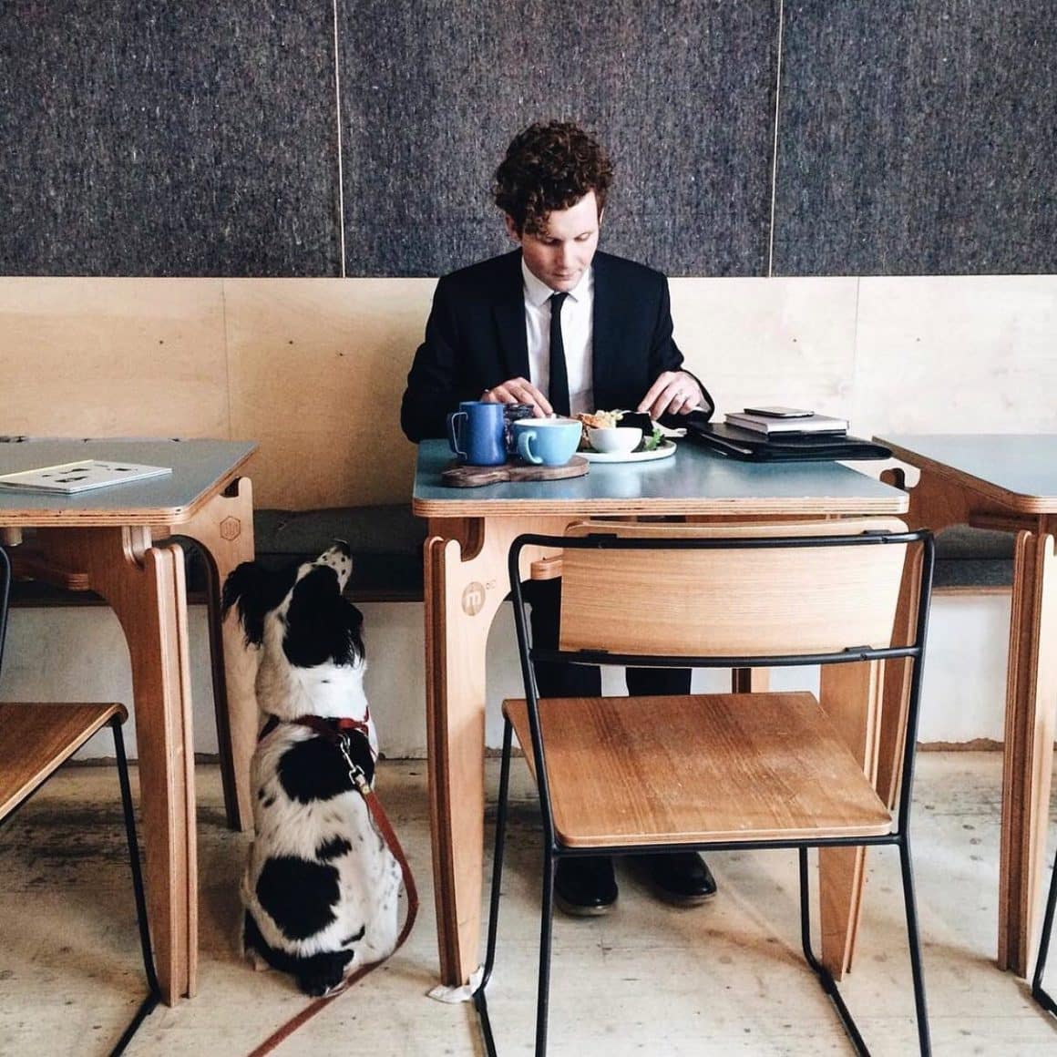 un bărbat tânăr ia masa alaturi de cainele sau la cafeneaua M60, unul din localuri cu aer scandinav din București