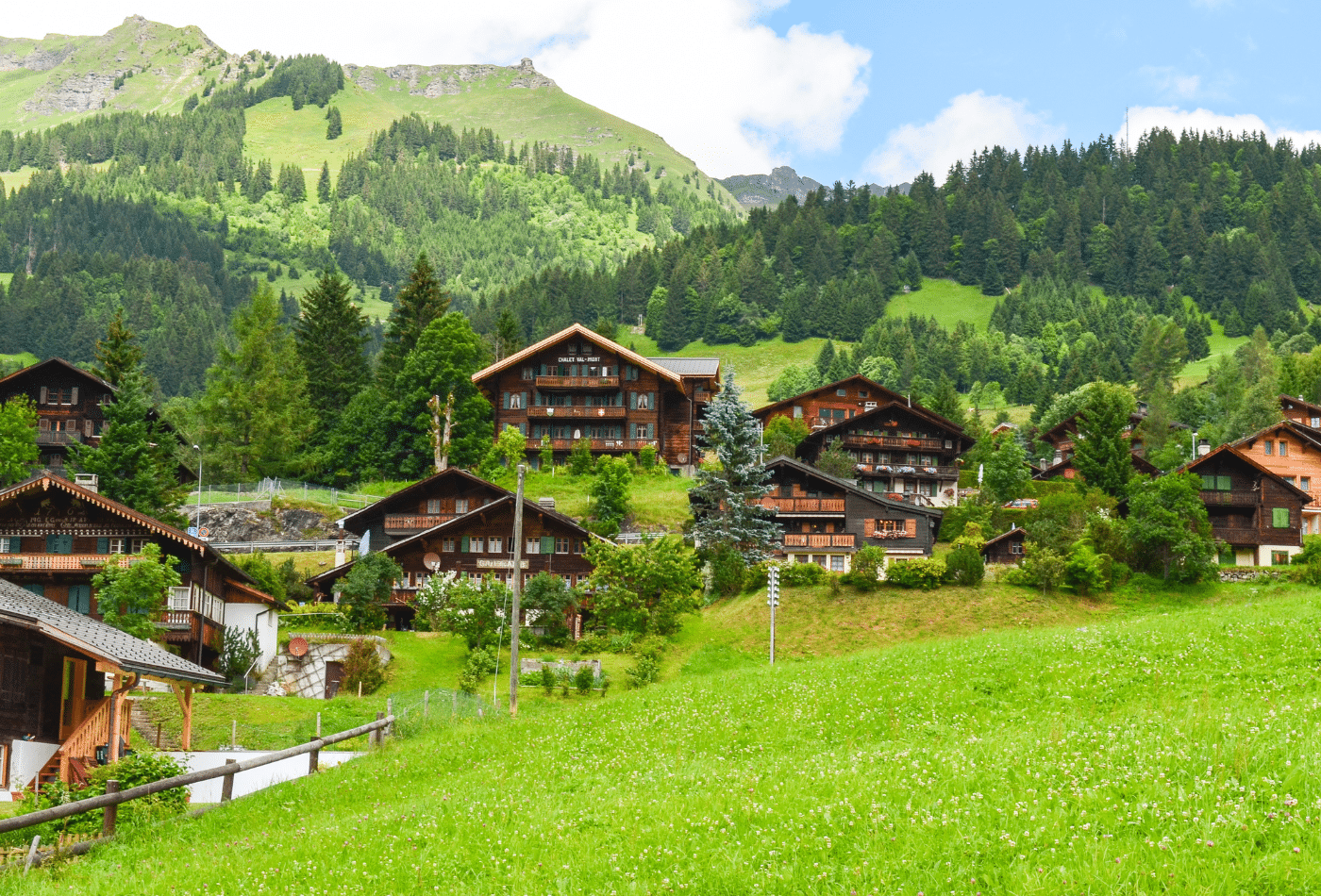 (P) Rețeta perfectă pentru asigurarea pensiunii tale!