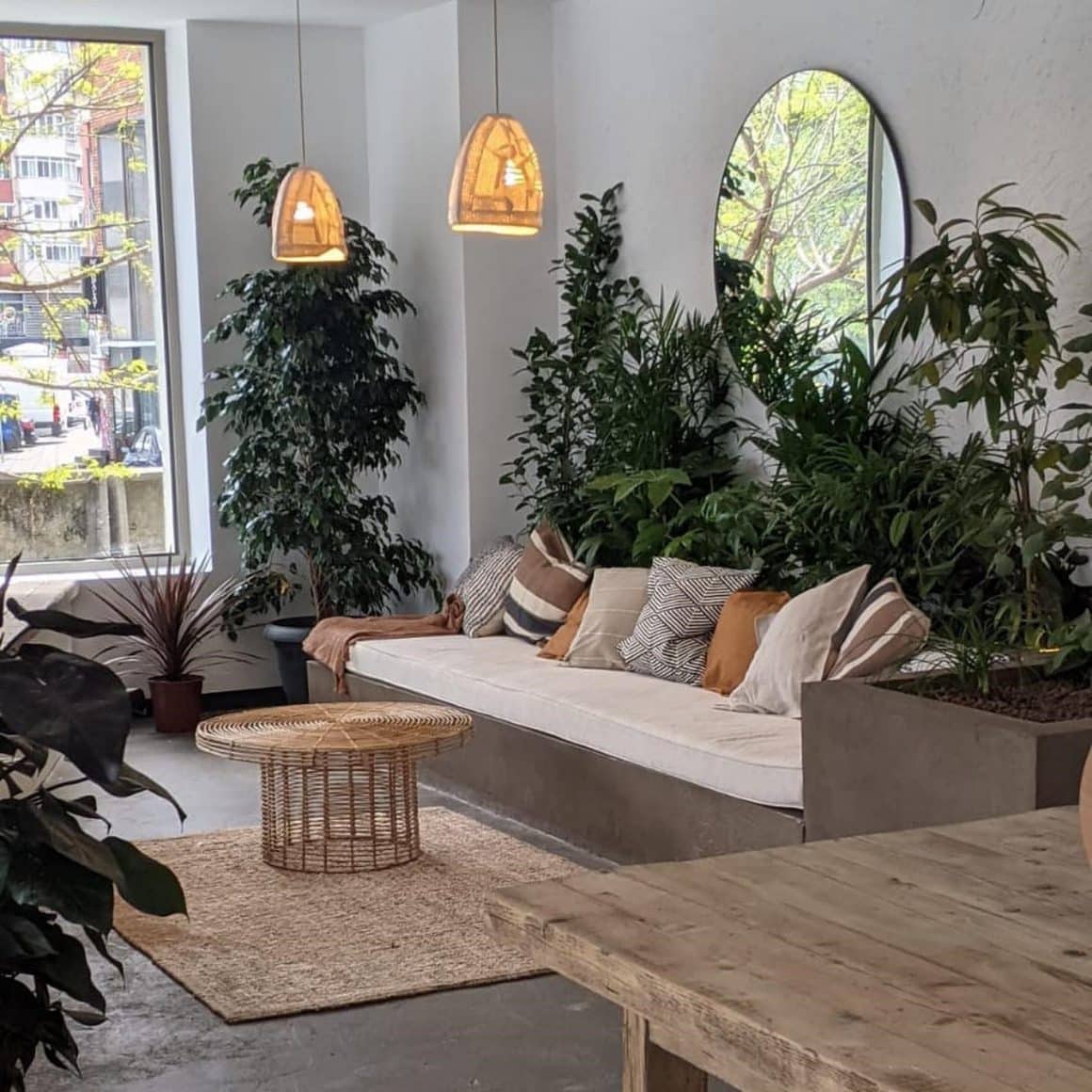 interiorul restaurantului Avocadoo, cu multe plante si culori neutre de mobilier. Restaurante vegane București