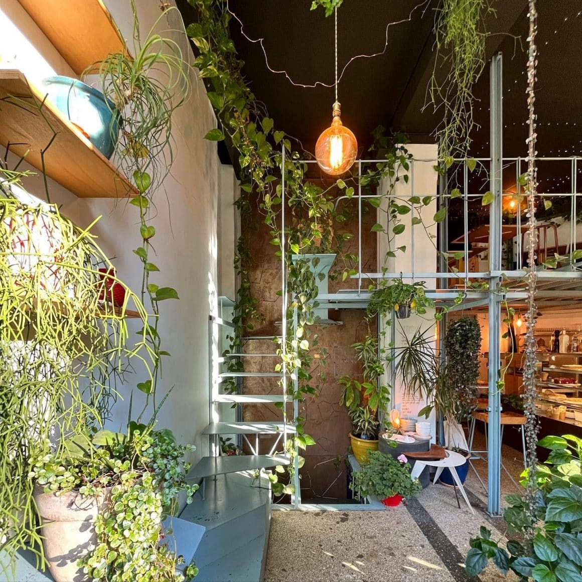 interiorul bogat decorat cu plante de la restaurant Frog Food Mood