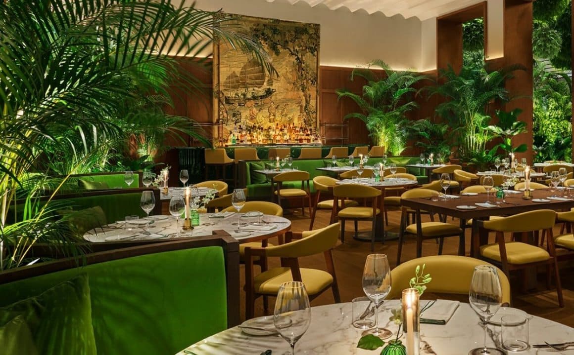 interiorul unui restaurant, cu foarte multe plante naturale înăuntru și mobilier din fibre naturale