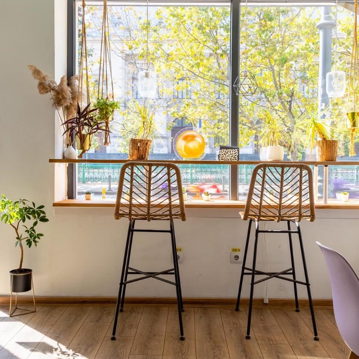 2 scaune in fata unui geam mare la Sublimmme, restaurante vegane București