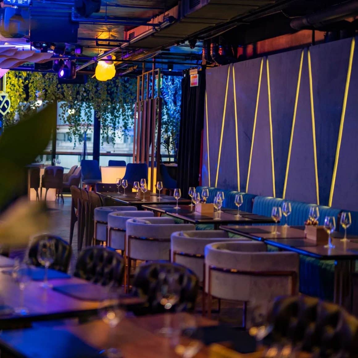 imagine din restaurant Naive, decorat cu pereti mov si scaune de catifea